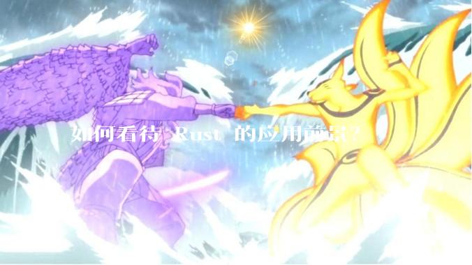 如何看待 Rust 的应用前景？
