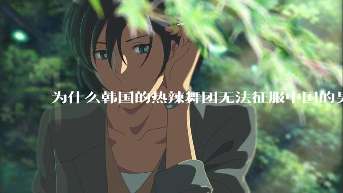 为什么韩国的热辣舞团无法征服中国的男性市场？？