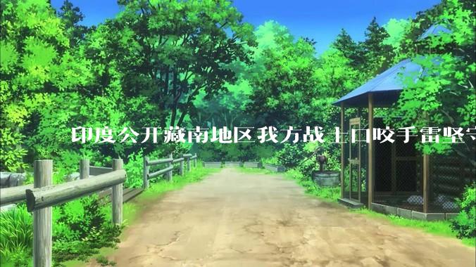 印度公开藏南地区我方战士口咬手雷坚守的***，是想表达什么？