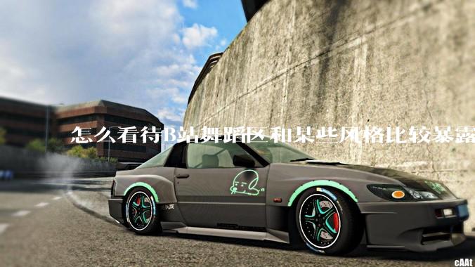 怎么看待B站舞蹈区和某些风格比较暴露的up？