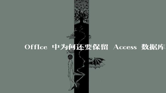 Office 中为何还要保留 Access 数据库?