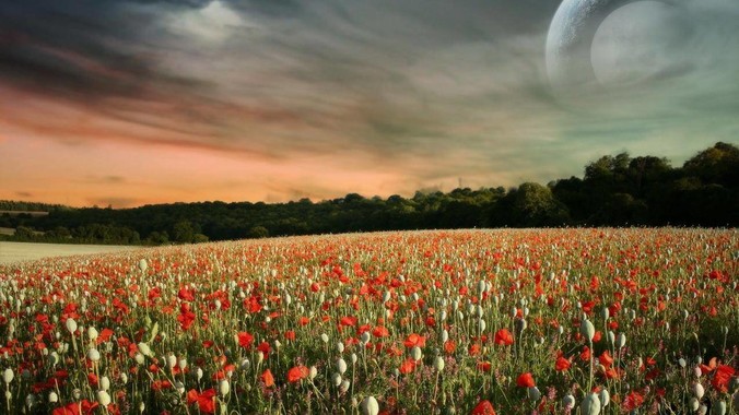 300万元&ldquo;太空船票&rdquo;牵出学历风波，太空旅游公司90后美女创始人回应_诗情_陈善广_载人航天